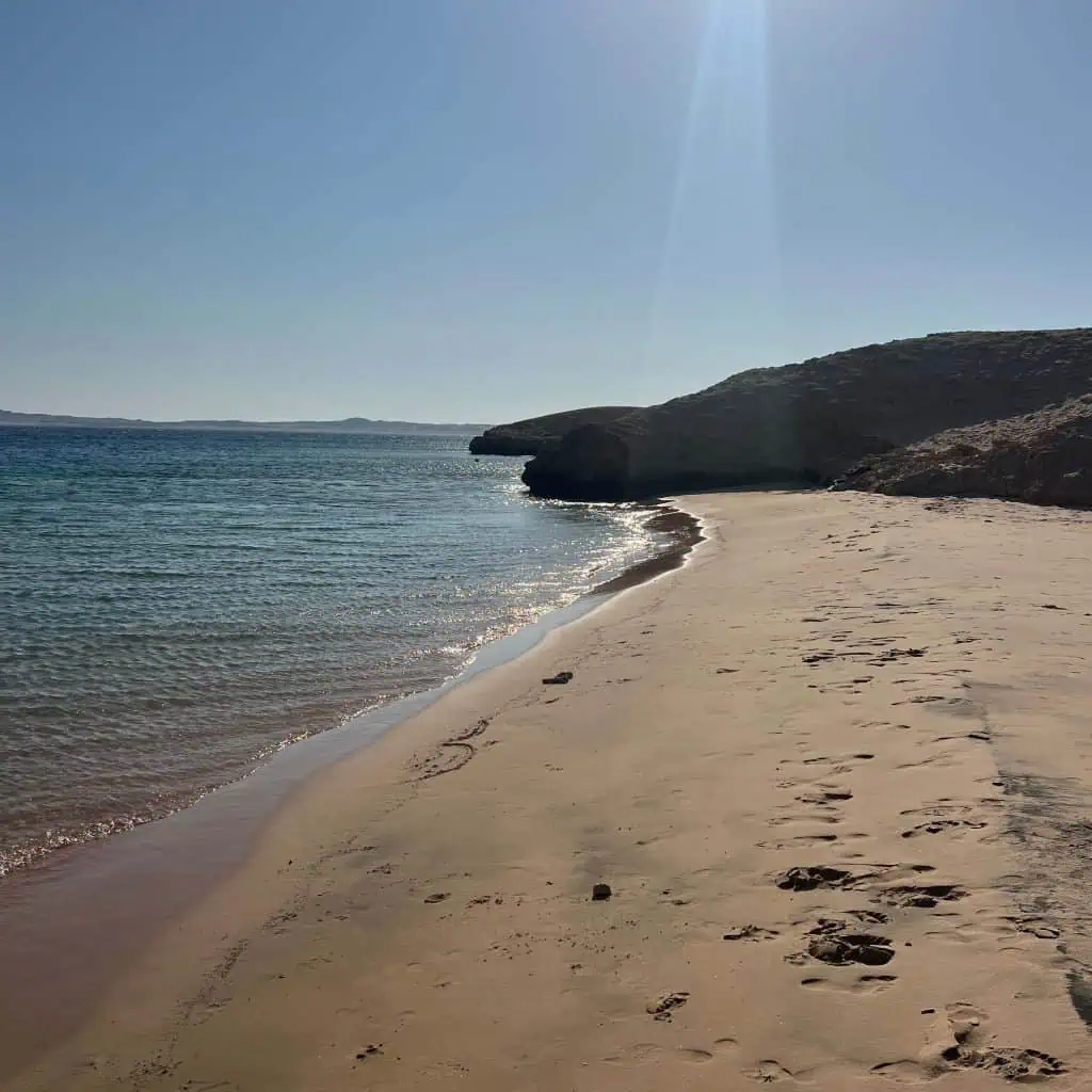 spiaggia di sabbia con mare che lambisce le coste s ole all orizzonte a ras mohammed
