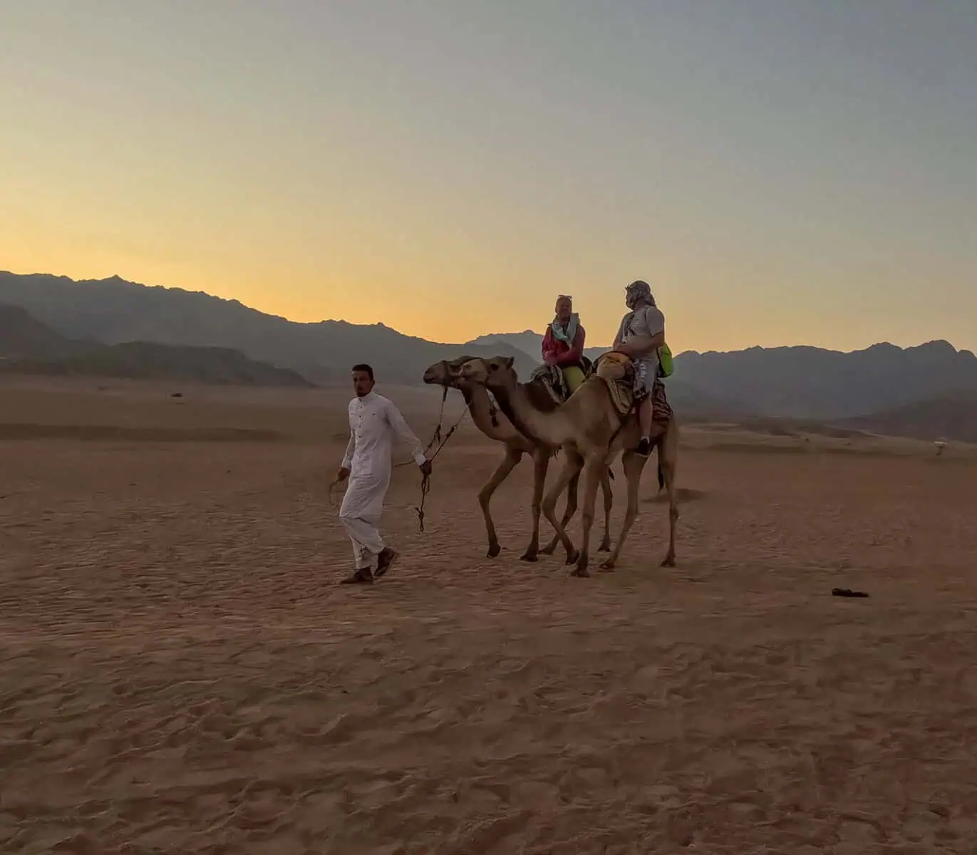 2 persone su 2 dromedari nel deserto al tramonto con guida beduina