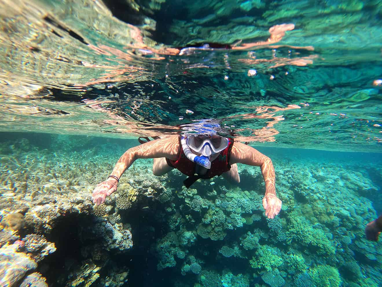 persona con maschera e boccaglio fa snorkeling nel mar rosso con la barriera corallina sullo sfondo