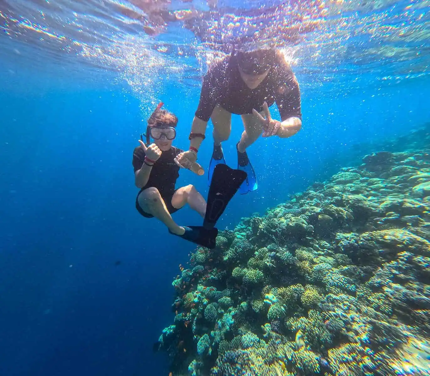 2 giovani fanno snorkeling nelle acque di sharm con barriera corallina