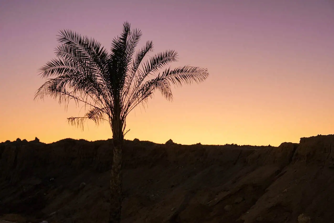 palme e montagne al tramonto