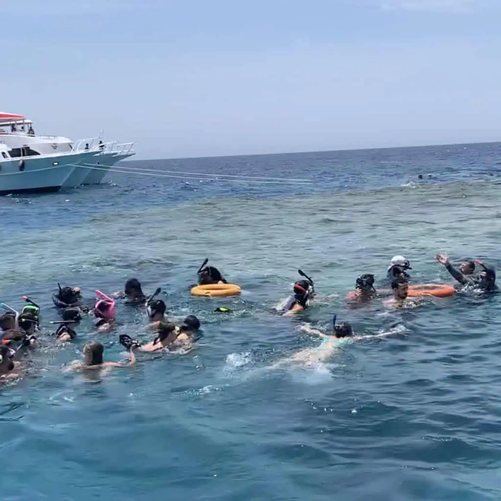 fermata di snorkeling all' isola che non c' è