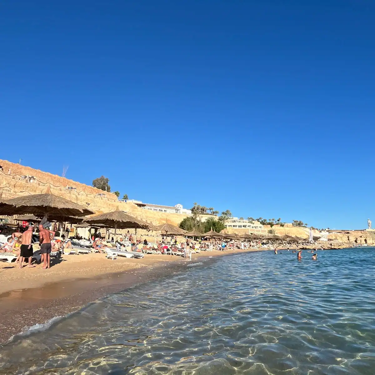 spiaggia del faraana reef