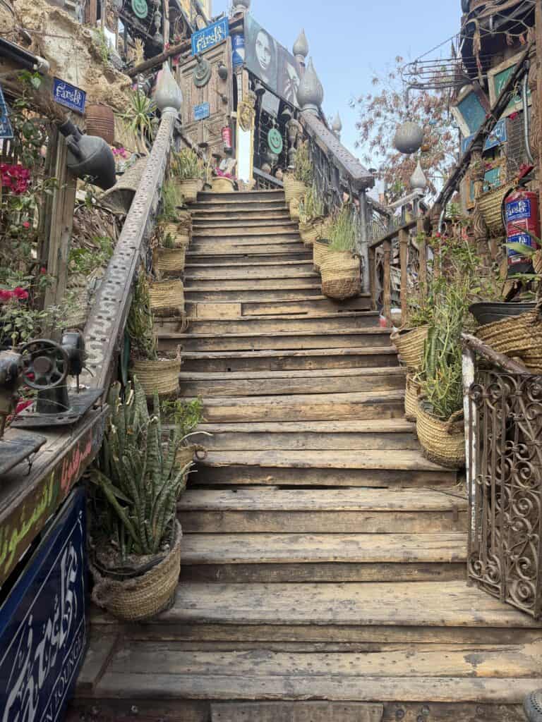 molti scalini farsha